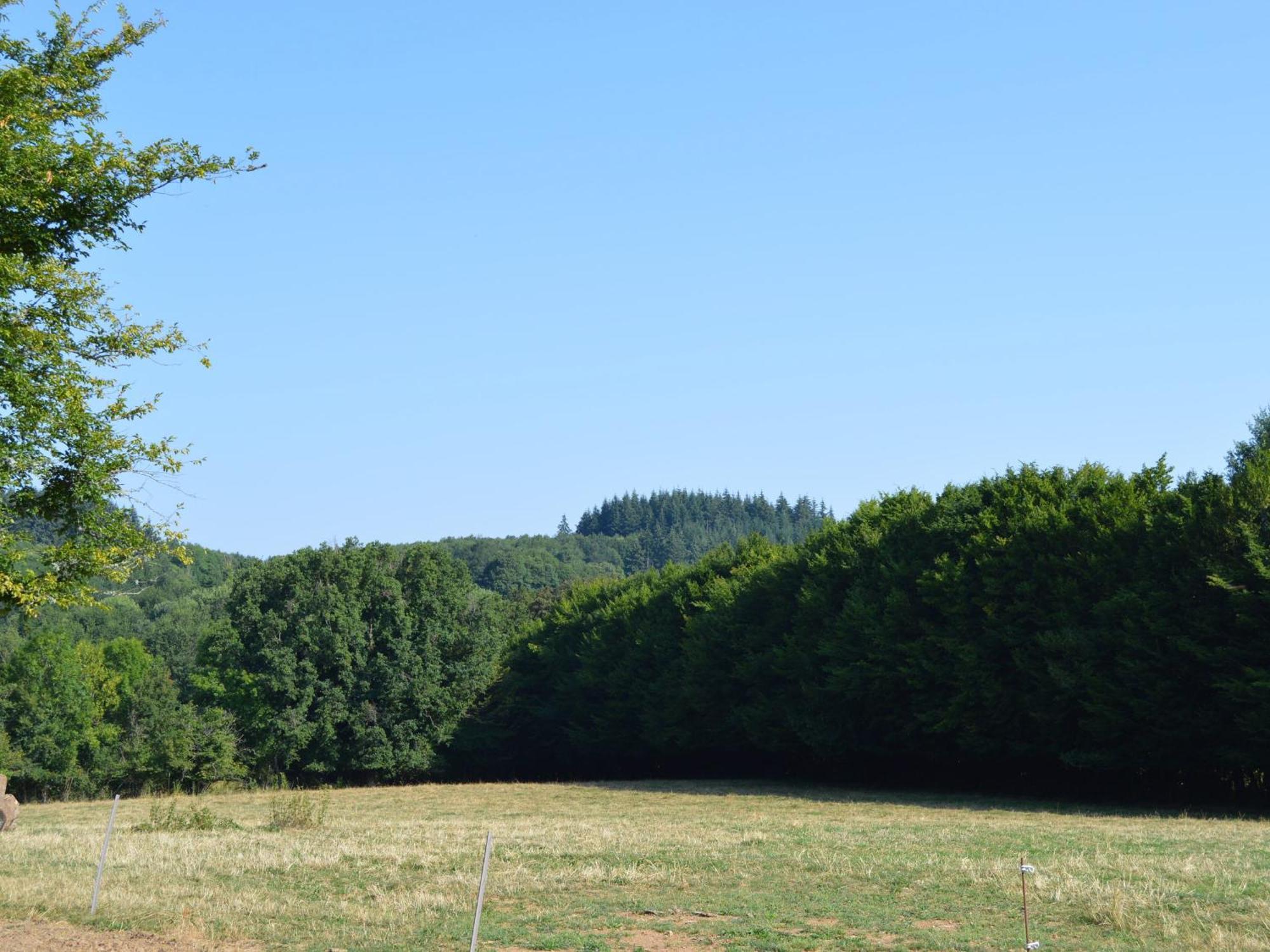 Grande Ferme Renovee Avec Jardin Et Loisirs A Proximite - Fr-1-591-155 Villa Pouligny-Notre-Dame Luaran gambar