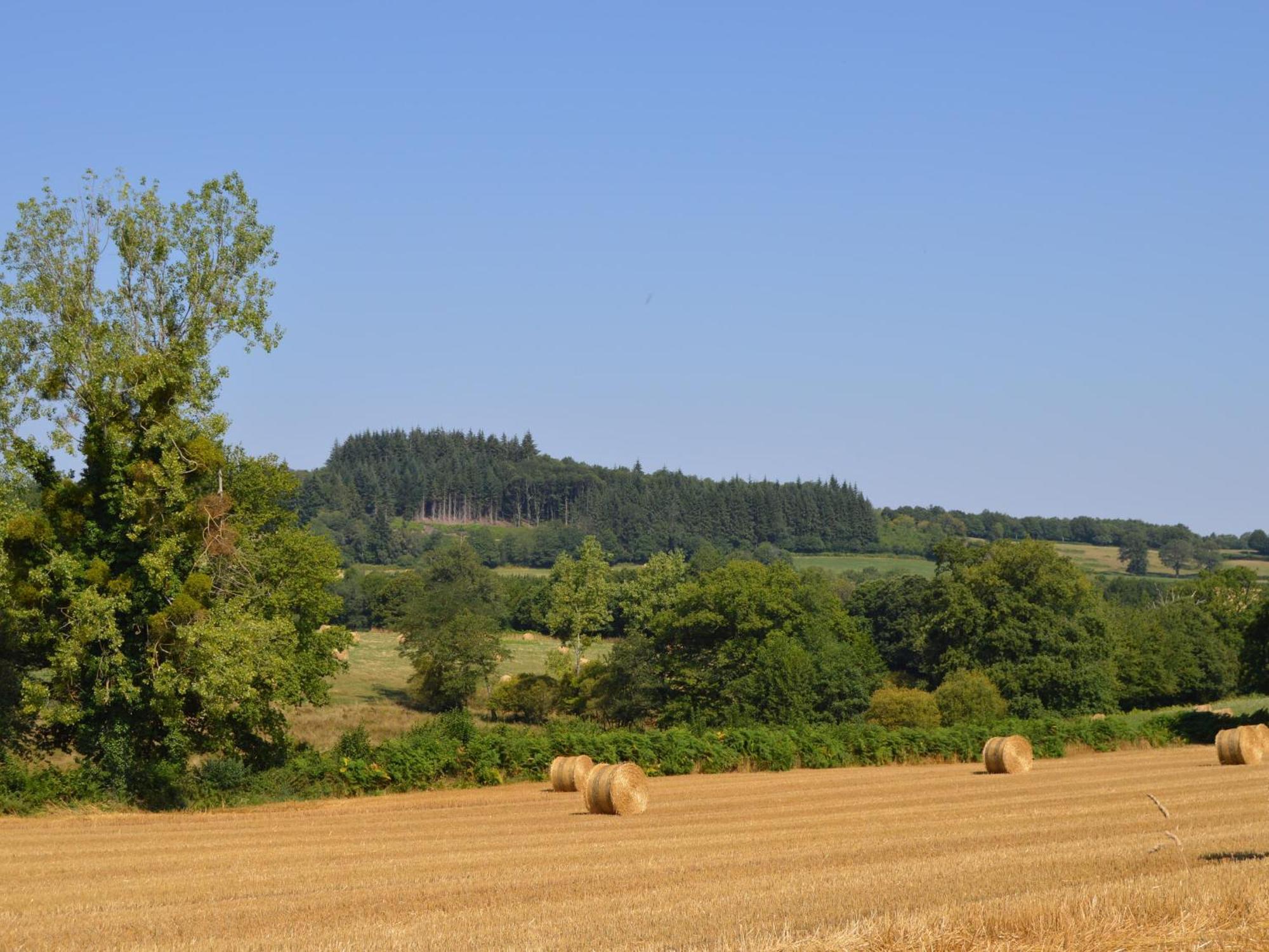 Grande Ferme Renovee Avec Jardin Et Loisirs A Proximite - Fr-1-591-155 Villa Pouligny-Notre-Dame Luaran gambar